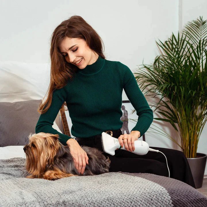 Secador de mascotas 2 en 1 (cepillo + secador) - Lifestyle Luxuries Shoppe