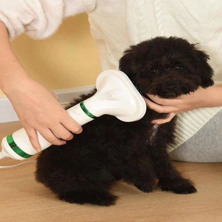 Secador de mascotas 2 en 1 (cepillo + secador) - Lifestyle Luxuries Shoppe